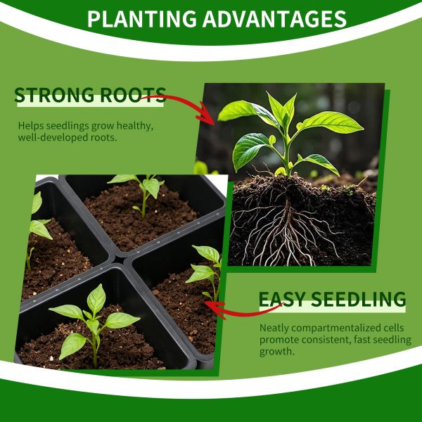 Customized 8 Cell Rectangular Plant Tray PP Plastic Vacuum Formed Hydroponic Seed Germination Tray With Holes