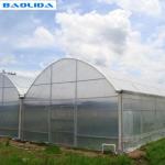 200 Micron Film Tomato Growing Plastic Tunnel Greenhouse Multi Span Greenhouse
