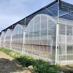 Multi Span Po Film Greenhouse in High Demand Package Size 50.00cm * 60.00cm * 50