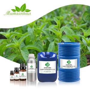 Wholesale 100% Pure Natural Vanilla Essential Oil OEM MSDS In Bulk Cosmetic Grade from china suppliers