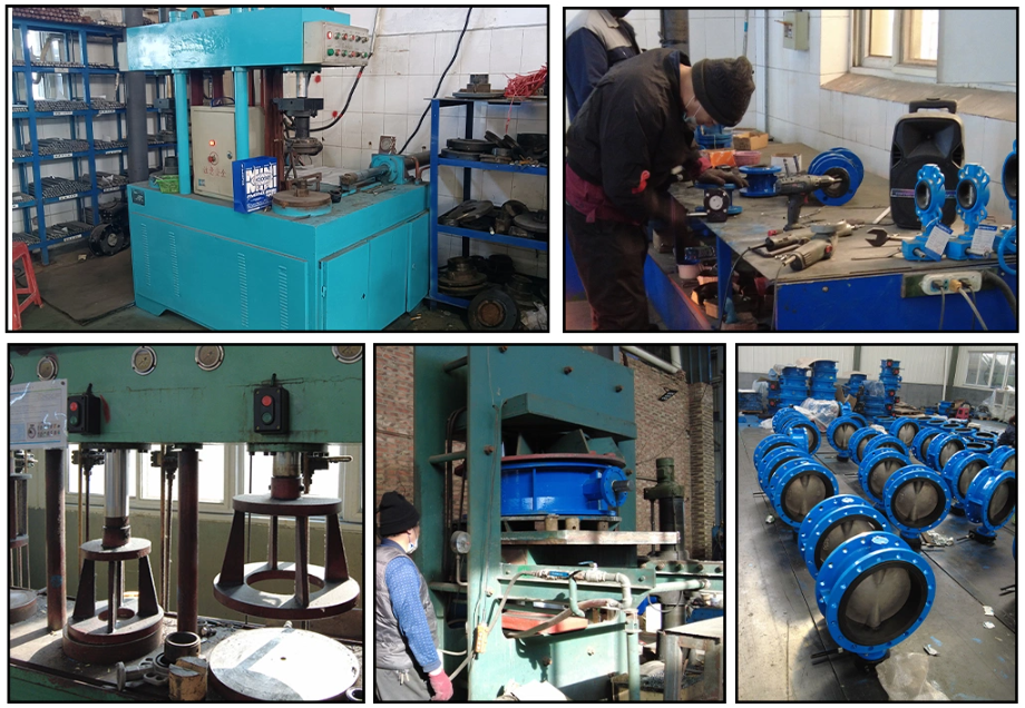 ANSI DIN BS Standard Double Flange Butterfly Valve for Customized Applications