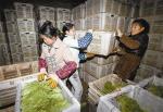 Seafood / Meat Prefabricated Cold Storage Room Automatic Energy Saving