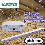 Silicon Gasket High Bay Light Fixture IP67 Waterproof 200W for Industrial