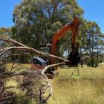 Impact Mechanical Grab Customized Different For Austrilia Market