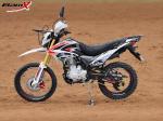 Wholesale 4-stroke CDI Single Cylinder Balance Shaft Engine 200cc gasoline