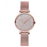 Giltter Dial Ladies Alloy Quartz Watch Stainless Steel Mesh Band Waterproof