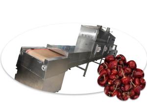 Wholesale Conveyor Belt Microwave Vacuum Dryer Machine 120KW For Chili / Instant Noodles from china suppliers