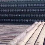 Non-Alloy Structural Steel Bar Q235 Q345 Ss400 Carbon Mild Steel Round Bar ASTM
