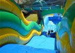 Tropical Commercial Water Slide , Giant Blow Up Water Slide High Security Huge