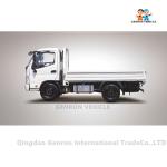 Brand Forland new China MINI Light cargo truck 4*2 type van cargo truck for sale