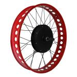 Brushless gearless motor for 48V 1500W electric bike kit