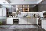 Modern Luxury Interior Furniture Flat Pack Design Cupboard Kitchen Cabinets