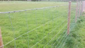 Wholesale Flat Surface Stainless Steel Mesh Sheet Grassland Mesh Animal / Farm Fence from china suppliers