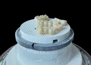 Wholesale Comfortable Porcelain Dental Bridge with All-Ceramic Construction for Exceptional Wear Resistance from china suppliers