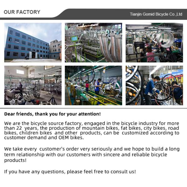 29 Inch Mountain Bike Customizable OEM Mountain Bicycle For Comfortable Riding Experience