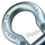 Stainless Steel Lifting Screw Pin Anchor Shackle For Imperial Measurement System
