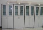 Professional Biological Computer Lab Furniture Chemical Reagent Cabinet