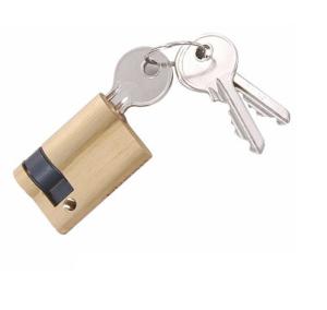 Wholesale Euro Profile Cylinder Locks from china suppliers