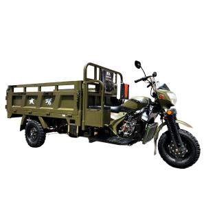 Wholesale Affordable 250cc Motor Tricycle for Family in Egypt Agriculture Market Open Body Type from china suppliers