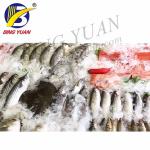 Stainless Steel 304 2.2KW Ice Flakes Making Machine