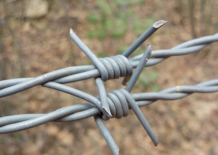 Garden Anti-Theft Double Strand Traditional Twist Electro Barbed Wire Coils