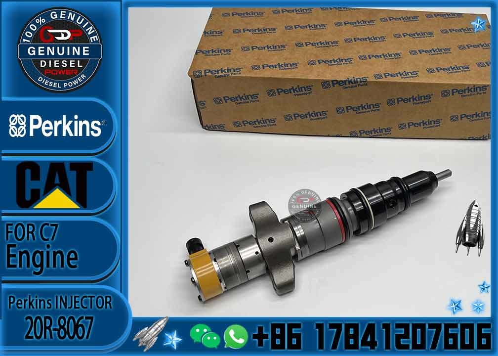 Diesel Engine Parts Common Rail Fuel Injector 20R-8067 for CAT C7 Diesel Engine CNDIP Factory price