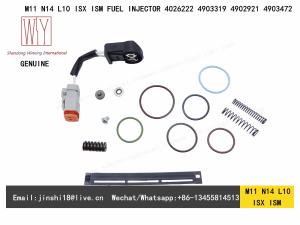 Wholesale GENUINE AND BRAND NEW OVERHAUL REPAIR KIT FOR CUMMINS M11, N14, L10, ISX, ISM FUEL INJECTOR 4026222, 4903319, 4902921, 4 from china suppliers
