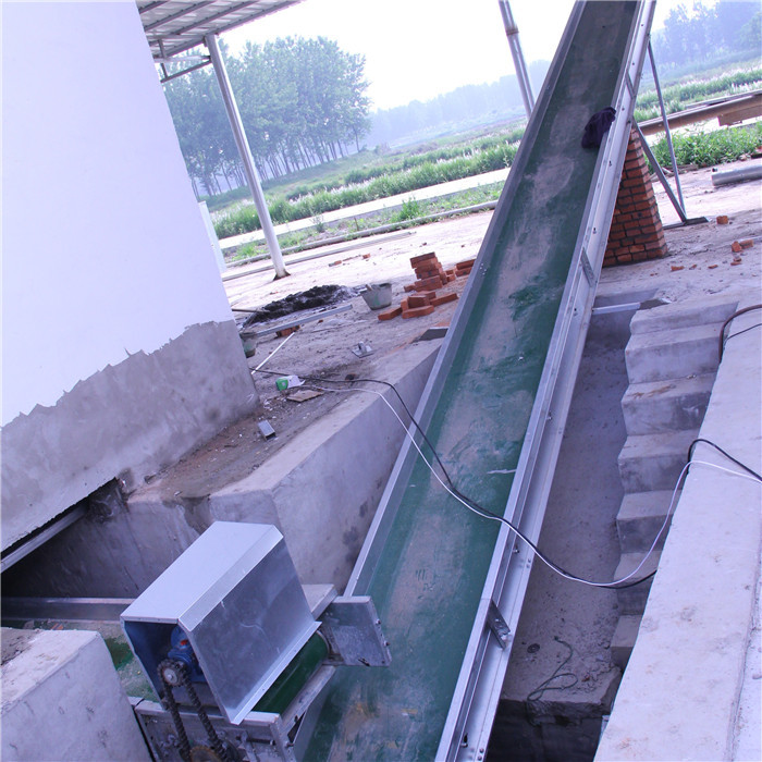 Structural Automatic Manure Removal System Powerful For Farm Manure Cleaning