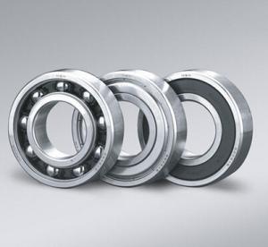 Wholesale NSK 6000z Deep groove NSK Ball Bearings GCR15 with Stainless steel from china suppliers