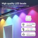 100ft IP67 Outdoor Waterproof Smart RGBIC (2 Rolls*50ft) permanent Eaves Lights