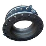 DIN Standard Pn16 6 Inch Face Fully Sealed Rubber Flange Coupling Galvanized