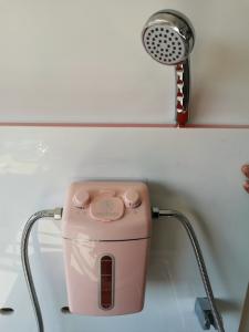 Wholesale Health Care Pain Relieving Hydromassage Spa Shower Filter from china suppliers