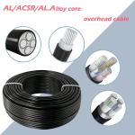 PVC PE Insulated AAC Alloy Conductor Overhead Power Cable Wire Voltage