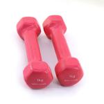 Non Slip PVC Coated Weights Kettlebells For Muscle Toning / Weight Loss