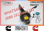 QSK38 QSK50 QSK60 Fuel Injector F00BJ00006 2881088 0986435615 Diesel Injector