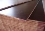 Moisture Proof Brown Plywood Wall Paneling / Film Faced Shuttering Ply 2-30mm