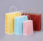 Custom Logo Reusable Paper Bags Boutique Paper Bags For Retail Stores With