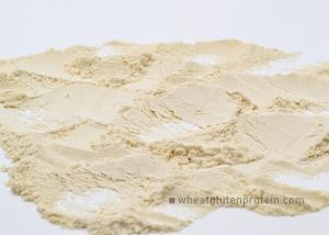 Wholesale Pure Dried Wheat Gluten Protein Powder , Aquaculture Feedstuff Protein from china suppliers