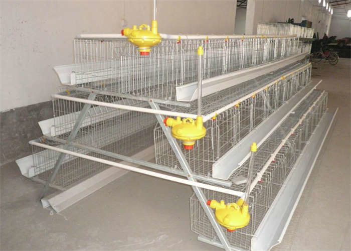 4 Tier Layer Cage For Layer Farming
