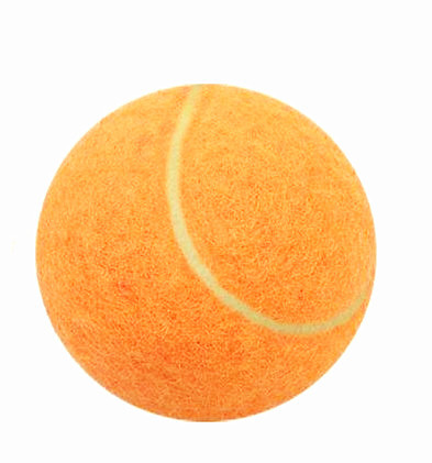 mini dog playing tennis balls