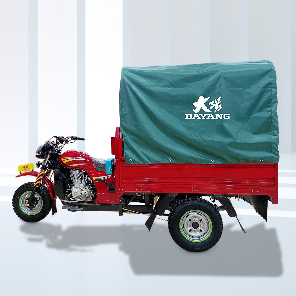 DAYANG Model Prince Cargo Tricycle with Tarp and Fuel Type Gasoline Made in 320 * 80