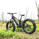 Aluminum Frame E Fat Bike , Fat Electric Bicycle With 26*4.0 Kenda Fat Tire