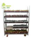 Steel Trolley Dutch Flower Trolley Steel For CC Containers Nylon Wheel Material