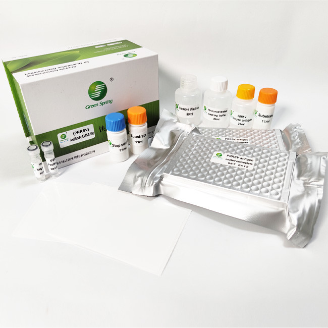 PRRSV Porcine Test Kit Porcine Reproductive And Respiratory Syndrome Virus Antibody ELISA