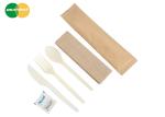 Biodegradable Plastic PSM Disposable Cutlery for Fast Food Takeaway
