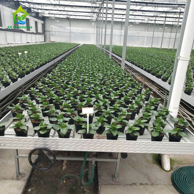 Ebb And Flow Greenhouse Rolling Bench For Seeding Vertical Grow