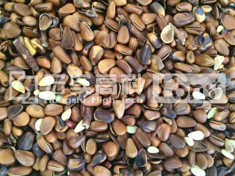 Sorting Machine CCD Camera 4Chutes 252Channels Color Sorter For Rice/Beans