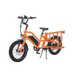Long Tail Cargo E Bike Customized Color Dual Battery 250W Steel Alloy Electric