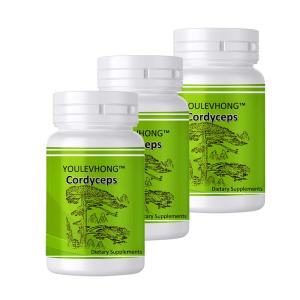 Wholesale Natural Health Products Dairy-Free Cordyceps Supplement for Immune System Support from china suppliers