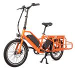 Family E-cargo Electric Bike with 20" Wheels 80km Range and Two 36V 13AH
